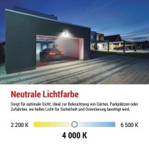 LED-Flutlicht TAMBO mit Bewegungssensor, 20 W, 2000 lm, schwarz