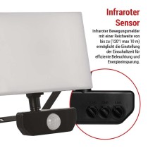 LED-Flutlicht TAMBO mit Bewegungssensor, 30 W, 3000 lm, schwarz