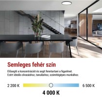 LED felületi lámpatest FLORI fekete, fehér, 18W, semleges fehér