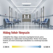 EMOS LED vészvilágító lámpatest NESSI 4W 3 óra IP66