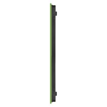 Digitální kuchyňská váha EV014G, zelená