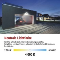 LED-Flutlicht TAMBO mit Bewegungssensor, 10 W, 1000 lm, schwarz