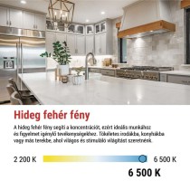 LED izzó Classic JC / G9 / 4,9 W (60 W) / 806 lm / Hideg fehér
