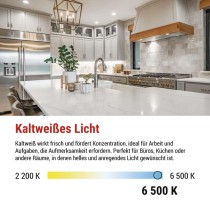 LED Lampe Classic A60 / E27 / 14 W (120 W) / 1901 lm / Kaltweiß