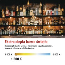 Żarówka LED DECO SMOKED G95 / E27 / 4,5 W (19 W) / 180 lm / flame