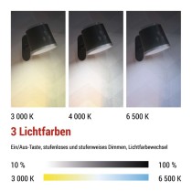 LED Schreibtischlampe ABBIE wiederaufladbar, schwarz