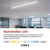 LED-Langfeldleuchte MINO 20W, neutralweiß