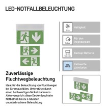 LED-Notleuchte 3W 3H MT