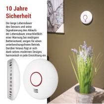 Rauchmelder GS558
