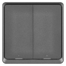 GoSmart Portabler Szenenschalter IP-2002ZB, ZigBee 3.0, 2 Tasten