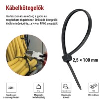 Kábelkötöző 100×2,5, fekete, 100 szt