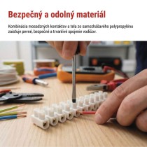 Skrutková svorkovnica 12× 6–10 mm2, 450 V, biela