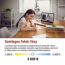 LED izzó Classic A60 / E27 / 14 W (120 W) / 1901 lm / Természetes fehér