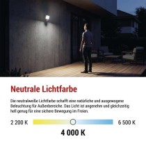 LED-Fluter TAMBO EVO mit Bewegungssensor, 20 W, 2000 lm, IP65, schwarz