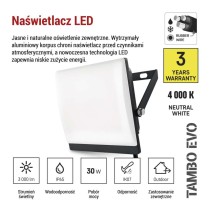 Naświetlacz LED TAMBO EVO, 30 W, 3000 lm, IP65, czarny