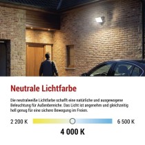 LED-Fluter TAMBO EVO mit Bewegungssensor, 50 W, 5000 lm, IP65, schwarz