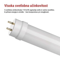 LED cev T8 9 W 60 cm Hladna bela 25 kos