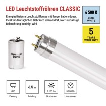 LED-Leuchtstofflampe T8 6,5 W 60 cm Kalt-Weiß 10 St.