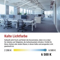 LED-Leuchtstofflampe T8 6,5 W 60 cm Kalt-Weiß 10 St.