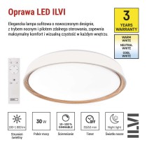 Oprawa LED nawierzchniowa ILVI, okrągła, 30 W, z funkcją ściemniania i zmianą CCT, biała 