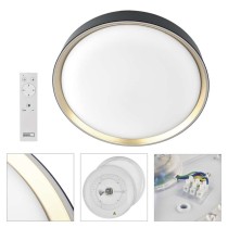 LED přisazené svítidlo ILVI, kruhové 30W, stmívání+CCT, černá+champagne