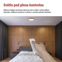 LED přisazené svítidlo ILVI, kruhové 30W, stmívání+CCT, dřevo