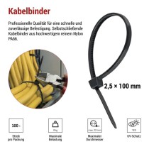 Kabelbinder 100×2,5, schwarz, 100 Stk