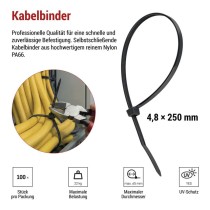Kabelbinder 250×4,8, schwarz, 100 Stk