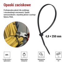 Opaska kablowa 250×4,8, czarna, 100 szt