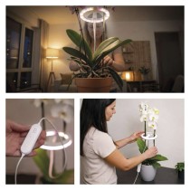 LED GROW pestovateľská lampa 8 W, časovač, stmievateľná, biela