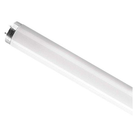 Žiarivka OSRAM L58W/865 150cm, 25ks