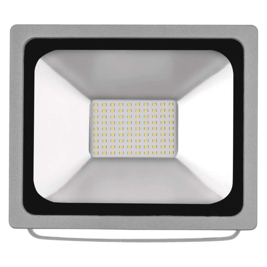 LED reflektor PROFI 50W NW