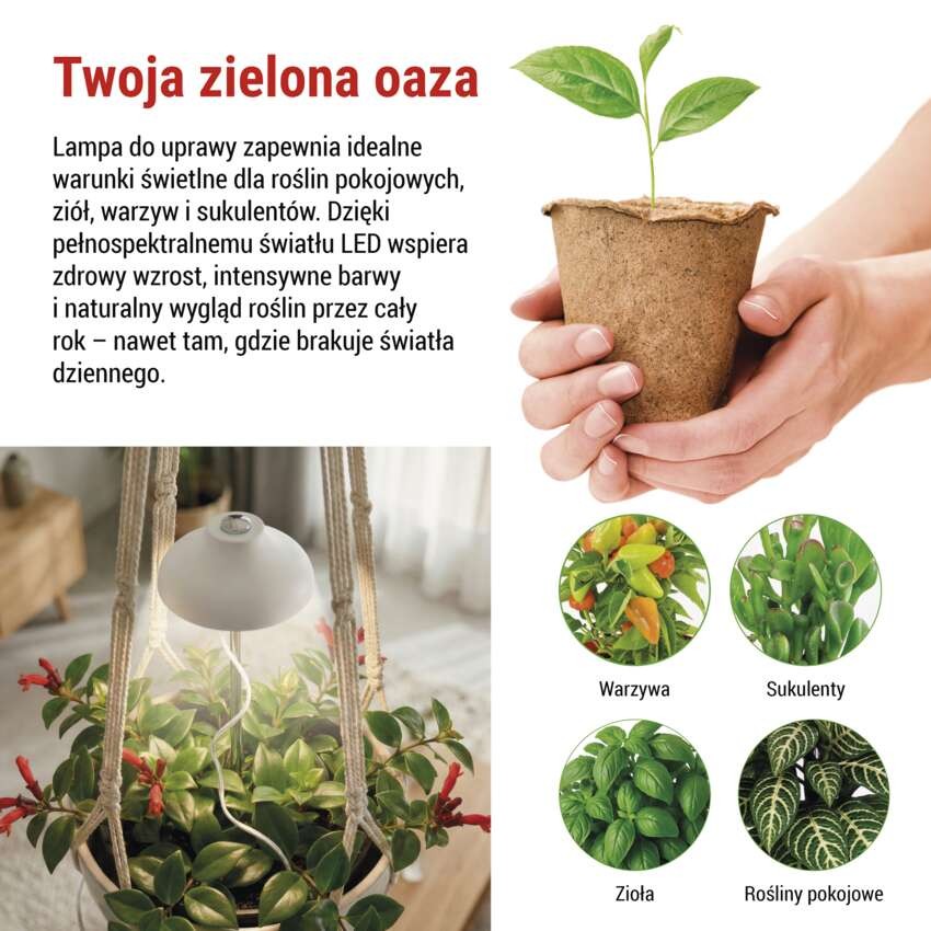 Lampa LED GROW do uprawy roślin 5 W, timer, biała
