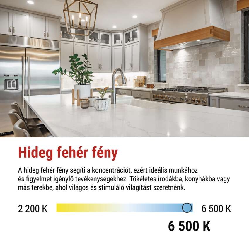 LED izzó Classic A60 / E27 / 14 W (120 W) / 1901 lm / Hideg fehér