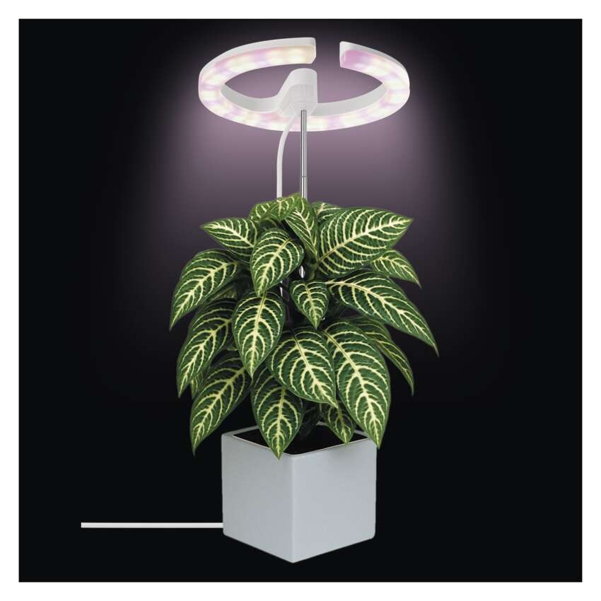 LED svetilka za rastline, polni spekter, 39 LED diod, notranja, časovnik, zatemnljiva