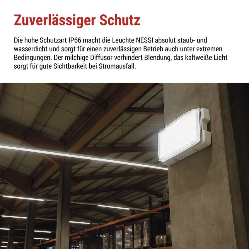 LED-Notleuchte 10W 3H IP66