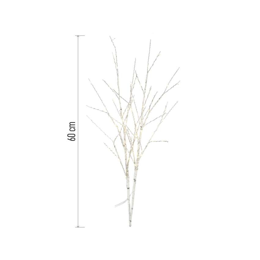 LED dekoracija - 2x brezove veje, 60 cm, 3x AA, zunanja in notranja, toplo bela, časovnik