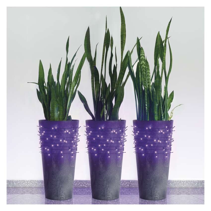 Standard LED Verbindungskette, 10 m, Außen/Innen, violett