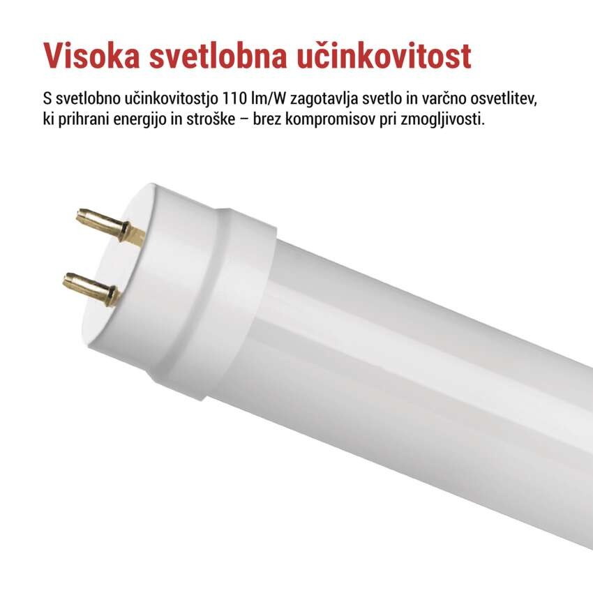 LED cev T8 9 W 60 cm Hladna bela 25 kos