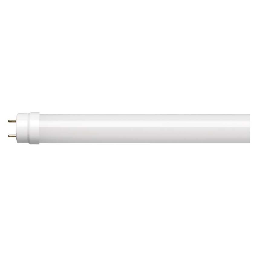 LED cev T8 9 W 60 cm Hladna bela 25 kos