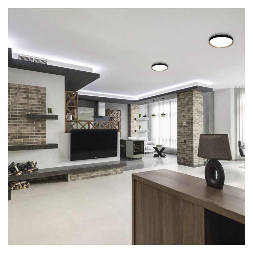 LED přisazené svítidlo ILVI, kruhové 30W, stmívání+CCT, černá+dřevo