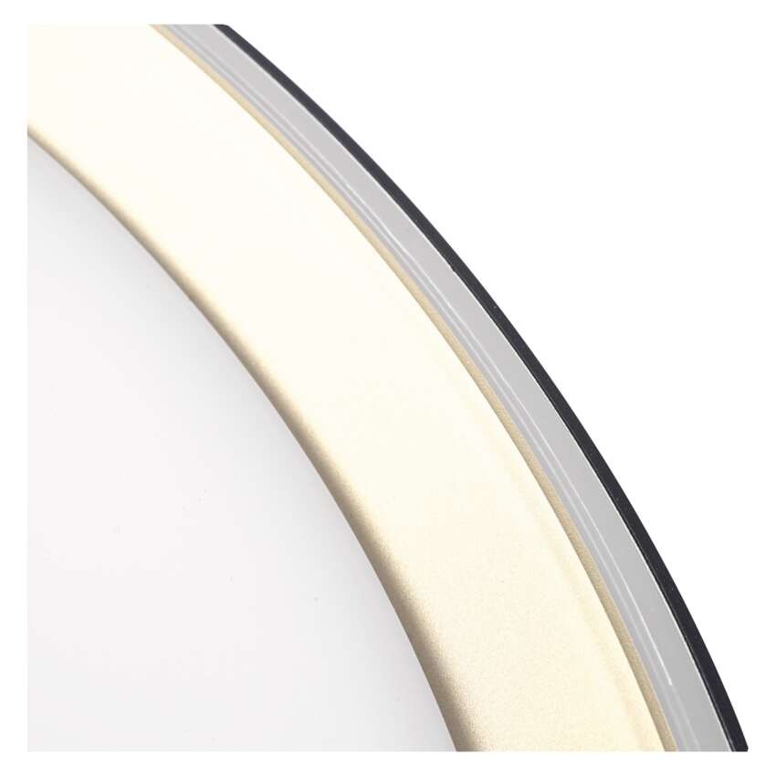 LED přisazené svítidlo ILVI, kruhové 30W, stmívání+CCT, černá+champagne