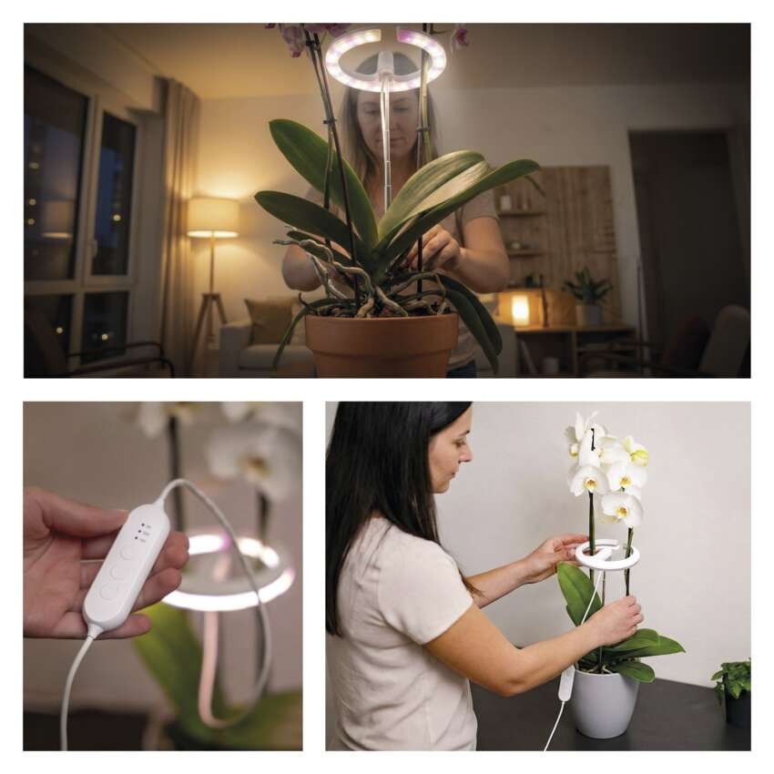 LED GROW pestovateľská lampa 8 W, časovač, stmievateľná, biela