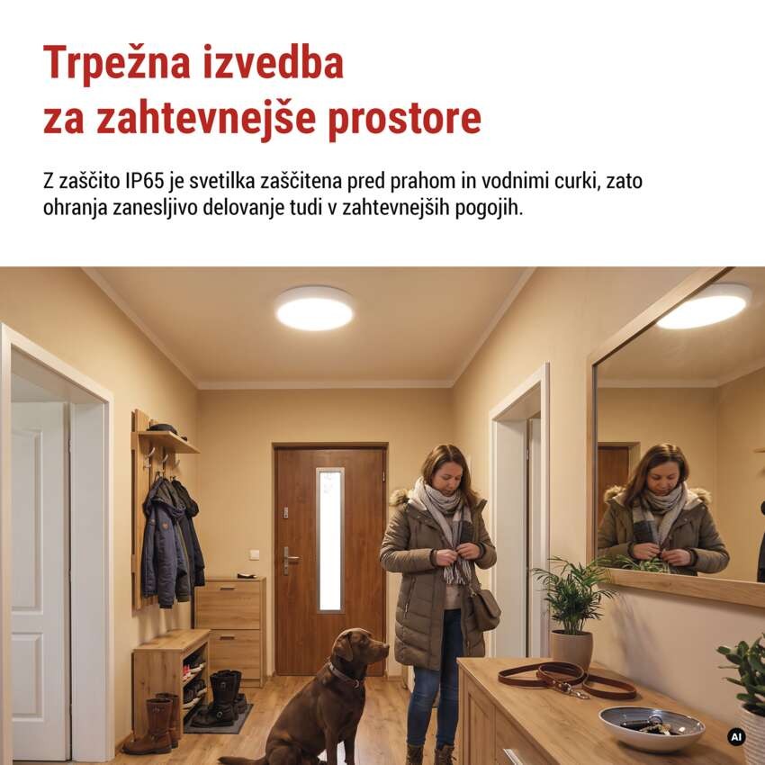 LED stropno svetilo FLERI, okroglo, 20W, IP65, nastavljiva CCT